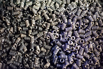 Image showing Metal springs