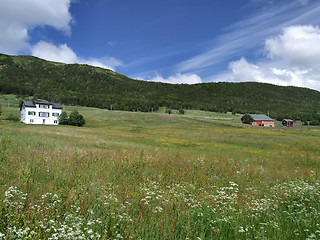 Image showing Two houses on a meadow