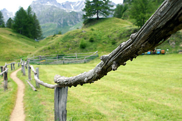 Image showing Wooden fence closeup