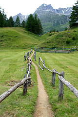 Image showing Wooden fence