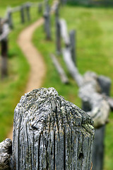 Image showing Wooden fence pole