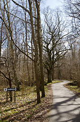 Image showing Footpath in springtime