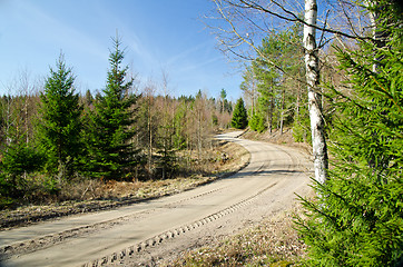 Image showing Country road in forest