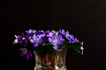 Image showing Bouquet of Blue anemones