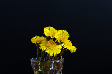 Image showing Spring flowers in a vase