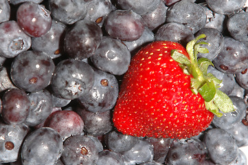 Image showing blue berries straw berries