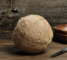 Image showing Coconut