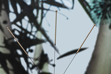 Image showing acupuncture needle