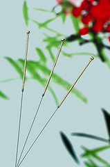 Image showing acupuncture needle