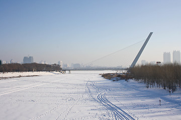 Image showing cable-stayed bridge in the city of Harbin.