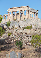 Image showing Temple of Aphaia in Aegina