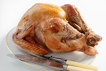 Image showing Roasted turkey for carving