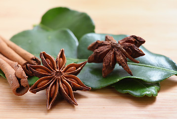 Image showing Star anise and cinnamon side view