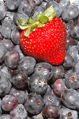 Image showing canteloupe, blueberries and strawberries