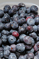 Image showing blueberries