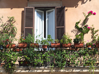 Image showing Beautiful balcony with flowers