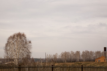 Image showing Rural landscape