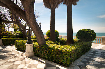 Image showing Palm trees and conifers in Cadiz