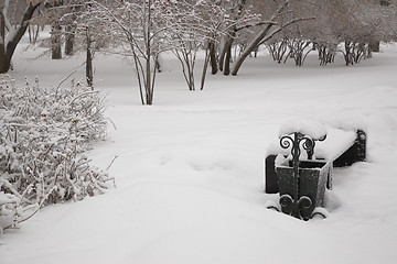 Image showing After snowstorm