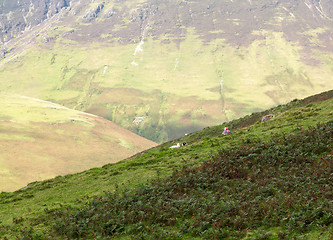 Image showing Newlands Pass in Lake District in England