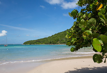 Image showing Glorious beach at Anse Marcel on St Martin