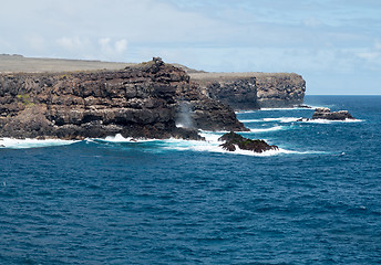 Image showing Volcanic rock lines coast in Galapagos