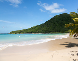 Image showing Glorious beach at Anse Marcel on St Martin