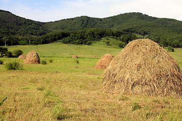 Image showing The dry grass combined on storage