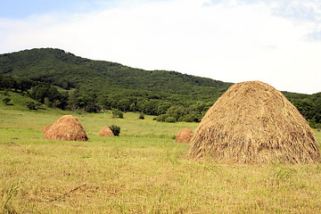 Image showing The dry grass combined on storage