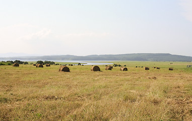 Image showing The dry grass combined on storage