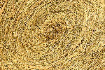 Image showing The straw braided in a roll