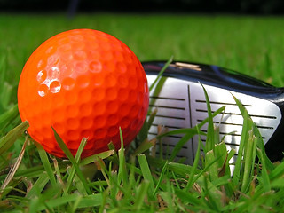 Image showing Golf