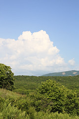 Image showing Landscape with a cloud