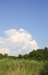 Image showing Landscape with a cloud