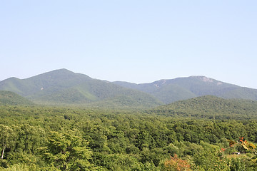 Image showing Landscape of mountains grown with wood
