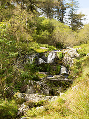 Image showing Small cascades at head of Pistyll Rhaeadr