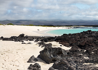 Image showing Volcanic rock lines beach in Galapagos