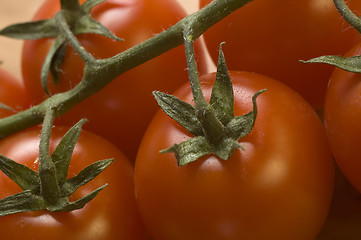 Image showing tomato