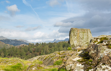 Image showing View over Tarn Hows in English Lake District