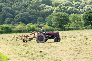 Image showing Antique David Brown tractor and threshing machine