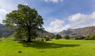 Image showing Langdale Pikes in Lake District