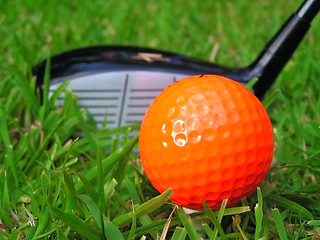 Image showing Golf