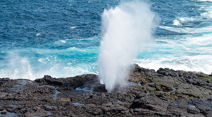 Image showing Blowhole at Suarez Point on Galapagos