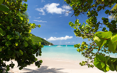 Image showing Glorious beach at Anse Marcel on St Martin
