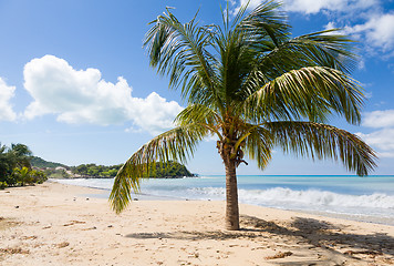 Image showing Friar's bay on St Martin in Caribbean