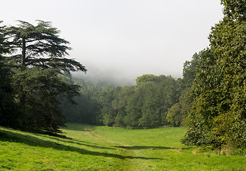 Image showing Rural scene in Cotswolds with fog