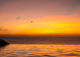 Image showing Infinity edge pool with sea underneath sunset