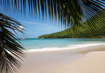 Image showing Glorious beach at Anse Marcel on St Martin