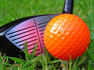 Image showing Golf