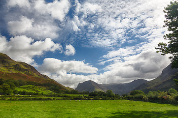 Image showing Sheep graze near Buttermere Lake District